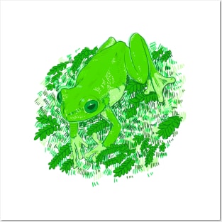 Green Frog Posters and Art